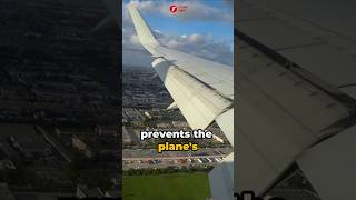 Why are Most Airplanes White facts flashinfo airplane why [upl. by Rebm]