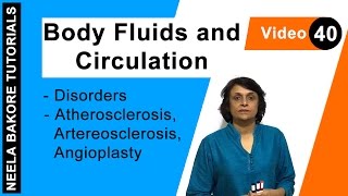 Body Fluids and Circulation  NEET  Disorders  Atherosclerosis Artereosclerosis Angioplasty [upl. by Aracahs]