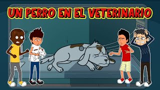 Un perro en el veterinario Desocupe Masivo [upl. by Helban980]