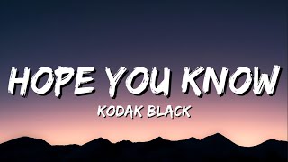 Kodak Black  Hope You Know Lyrics [upl. by Alemap]