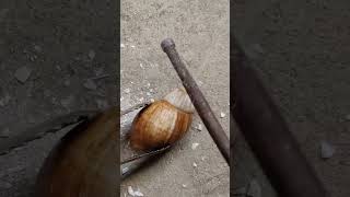 Amazing Casting Copper Shells out of Scrap to Make Art shorts shortvideo reels [upl. by Salli]