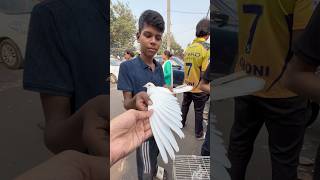 Pet market mai fancy anokhe pets mile minivlog reels pet parrot kabootar birds pets vlog [upl. by Chellman]