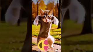 Viral cute cat dance with shorts trending dancecat funny [upl. by Lesya]