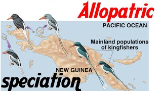 Allopatric speciation animation [upl. by Rebmetpes11]