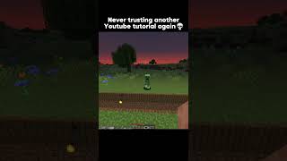 Never again 💀  minecraft minecraftshorts minecraftmemes [upl. by Lemcke]