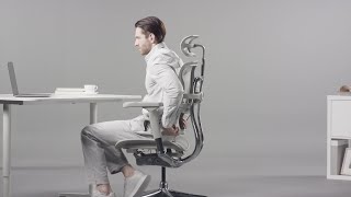 Ergohuman 2 Elite The ultimate office chair that exceeds expectations Description of functions [upl. by Selemas161]