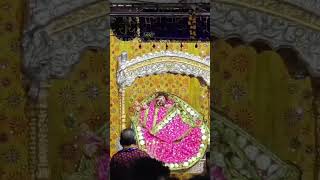 Vrindavan mero vrindavan song stetus prem mandir shorts radhakrishna radha mohan syamkishore [upl. by Matheson]