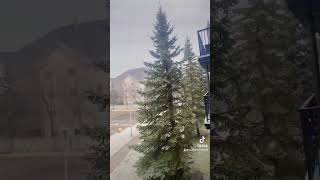 Snowy day snow youtube youtubeshorts [upl. by Inahteb]