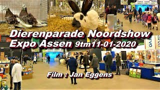 Dierenparade Noordshow Expo Assen 9tm11 01 2020 [upl. by Donata]