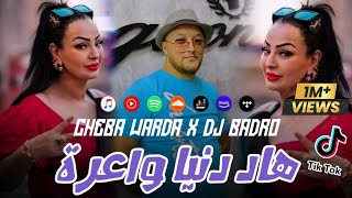 Cheba Warda × Dj Badro  Hadi Denya Wa3ra  Beat Trap Rai  2024 [upl. by Niles322]