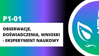 P101 Obserwacje doświadczenia wnioski  eksperyment naukowy [upl. by Navap]