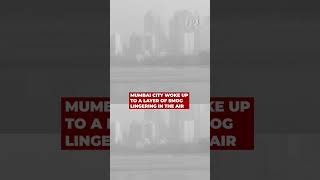 Smog Engulfs Parts Of Mumbai As Air Quality Deteriorates [upl. by Noryd61]