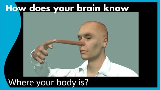 What is Proprioception  How does your brain know where your body is [upl. by Ryun165]