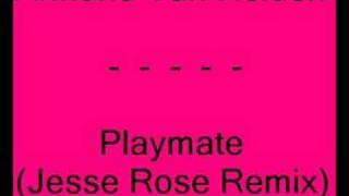 Armand Van Helden  Playmate Jesse Rose Remix [upl. by Aseneg179]