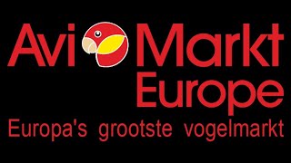 Avimarkt Europe  The biggest bird market in Europe [upl. by Argus]