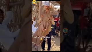 Funny Catoon Video  Bekkol Bou Natok  Funny Tiktok  Funny Video funny shorts shortsfeed [upl. by Mohandis]