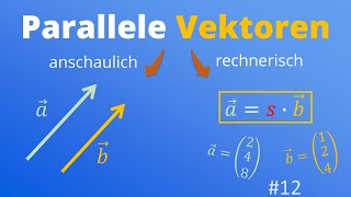 Kollineare parallele und antiparallele Vektoren  anschaulich und rechnerisch  12 [upl. by Attaynek]