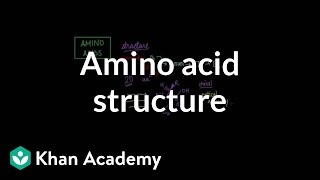 Amino acid structure  Chemical processes  MCAT  Khan Academy [upl. by Omoj800]