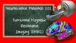 Functional Magnetic Resonance Imaging fMRI explained  Neuroscience Methods 101 [upl. by Aimil]