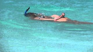 Snorkeling Anguilla Shoal Bay [upl. by Arri]