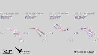 Flappingwing aeroelastic analysis considering wing flexibility [upl. by Ained279]