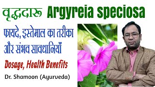 Vriddhadaru Argyreia speciosa health benefits in Hindi  Dr Shamoon [upl. by Stubbs]