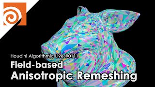 Houdini Algorithmic Live 111  Fieldbased Anisotropic Remeshing [upl. by Otho]