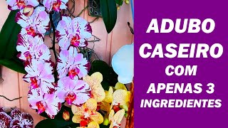 Como Fazer Adubo Orgânico Caseiro para Orquídeas e Plantas [upl. by Fitting]