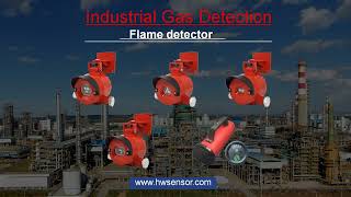 Industrial Gas Detection Supplier [upl. by Llessur]