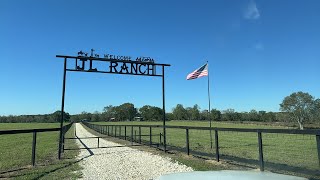 Longhorn Lesters is separating cattle JL Ranch [upl. by Karlan]