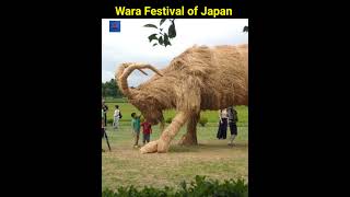 Wara Festival of JapanMRINDIANHACKER CrazyXYZ shorts [upl. by Mercie]