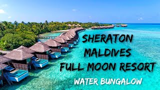 Sheraton Maldives Full Moon Resort amp Spa  Water Bungalow with Pool [upl. by Bax]