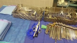 BASIC SET UP PARATHYROIDECTOMY [upl. by Gilcrest294]