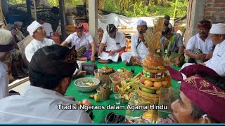 Tradisi Ngeraos  Meminang  Medarmasuaka  Tradisi Hindu Bali  Pernikahan Bali [upl. by Caesaria]