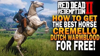 How To Get The Best Horse Cramello Gold Dutch Warmblood Red Dead Redemption 2 Horses RDR2 [upl. by Justis695]