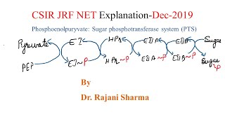 CSIR JRF NET ExplanationDec2019Phosphoenolpuryvate Sugar phosphotransferase system PTS [upl. by Trab]