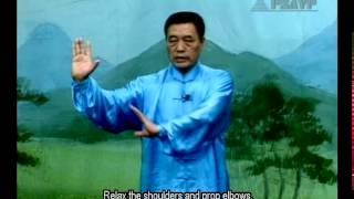 Liang Style BaGua Basic Exercises [upl. by Katya]