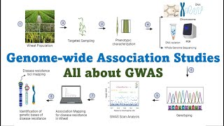 Genome wide association studies All about GWAS Technique in Molecular Plant Breeding [upl. by Alejandro]