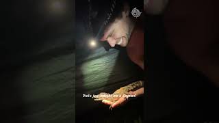 Nighttime Surprise Caiman Encounter at Camp [upl. by Banna]