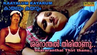 പാല്‍നിലാ പുഞ്ചിരി  Paalnila Punchiri  Midad  Malayalam Mappila Album Song [upl. by Euqinomahs]