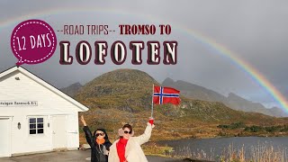 TROMSO TO LOFOTEN NORWAY ROAD TRIPS AND GORGEOUS APARTMENT [upl. by Kuehn]