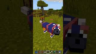 ARMADURAS PARA LOBO EN MINECRAFT minecraft minecrafttutorial [upl. by Laspisa]