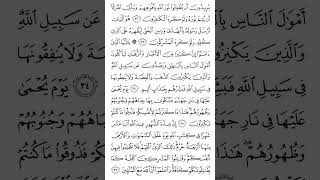 Surat AtTawba The Repentance  Ayat 35  Mishary Rashid Alafasy shorts [upl. by Earized]