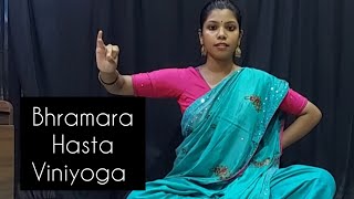 bhramara hasta viniyoga bharatanatyam classicaldance viniyoga kalakshetra hastamudra [upl. by Neram194]