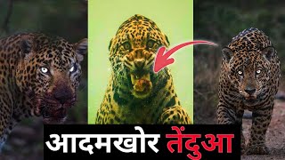 आदमखोर तेंदुआ  The Man  Eating Leopard Of Rudraprayag [upl. by Aniryt]