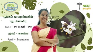 Morphology of Flowering plants  Part 16  Family  Solanaceae  NEET Tamil  NEET Biology [upl. by Heiskell]