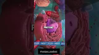 neet ribosomes anatomy biology [upl. by Anselmi313]