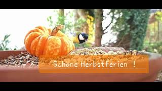 Schöne Herbstferien [upl. by Drageruaeb383]