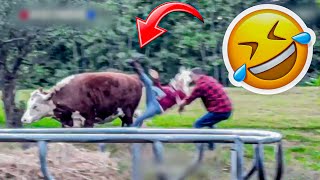 Best Fails of the week  Funniest Fails Compilation  Funny Videos 😂  Part 25 [upl. by Legin]