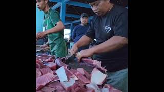 Tuna Fish Cutting [upl. by Hooper]